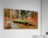 2831 Acrylic Print