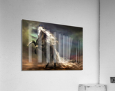 2840 Acrylic Print