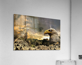 2842 Acrylic Print