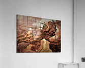 2843 Acrylic Print