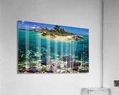 2849 Acrylic Print