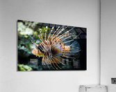 2850 Acrylic Print