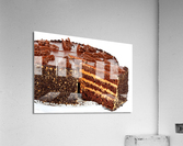 2855 Acrylic Print