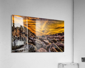 2861 Acrylic Print