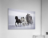 2862 Acrylic Print