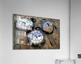 2867 Acrylic Print