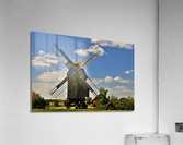 2874 Acrylic Print