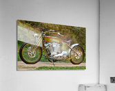 2878 Acrylic Print