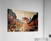 2881 Acrylic Print