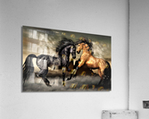 2893 Acrylic Print