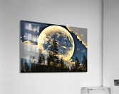 2894 Acrylic Print