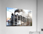 2918 Acrylic Print