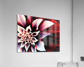 2920 Acrylic Print