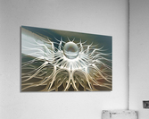 2933 Acrylic Print