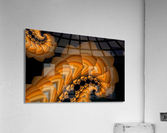 3000 Acrylic Print