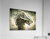 3010 Acrylic Print