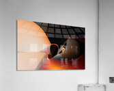 3061 Acrylic Print