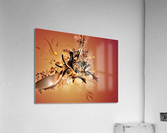 3062 Acrylic Print
