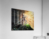 3072 Acrylic Print