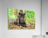 3073 Acrylic Print