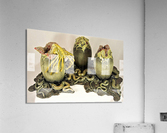 3088 Acrylic Print