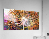 3116 Acrylic Print