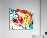 3122 Acrylic Print