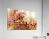  3114 Acrylic Print