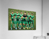 3164 Acrylic Print