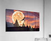 3171 Acrylic Print