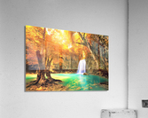 3178 Acrylic Print