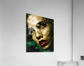 3189 Acrylic Print