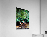 3199 Acrylic Print
