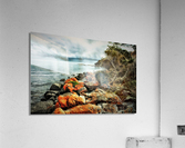 3207 Acrylic Print