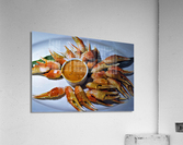 3217 Acrylic Print