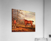 3230 Acrylic Print