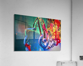 3233 Acrylic Print