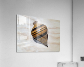 3237 Acrylic Print