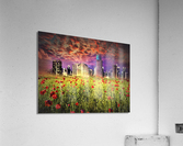 3239 Acrylic Print