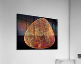 3245 Acrylic Print