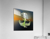 3246 Acrylic Print