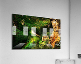 3253 Acrylic Print
