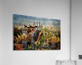 3254 Acrylic Print