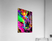 3275 Acrylic Print