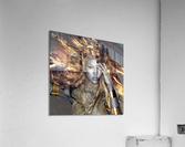 3279 Acrylic Print