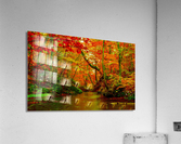 3285 Acrylic Print