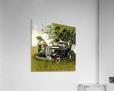 3298 Acrylic Print