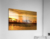 3305 Acrylic Print