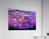 3311 Acrylic Print