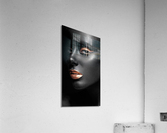 3293 Acrylic Print